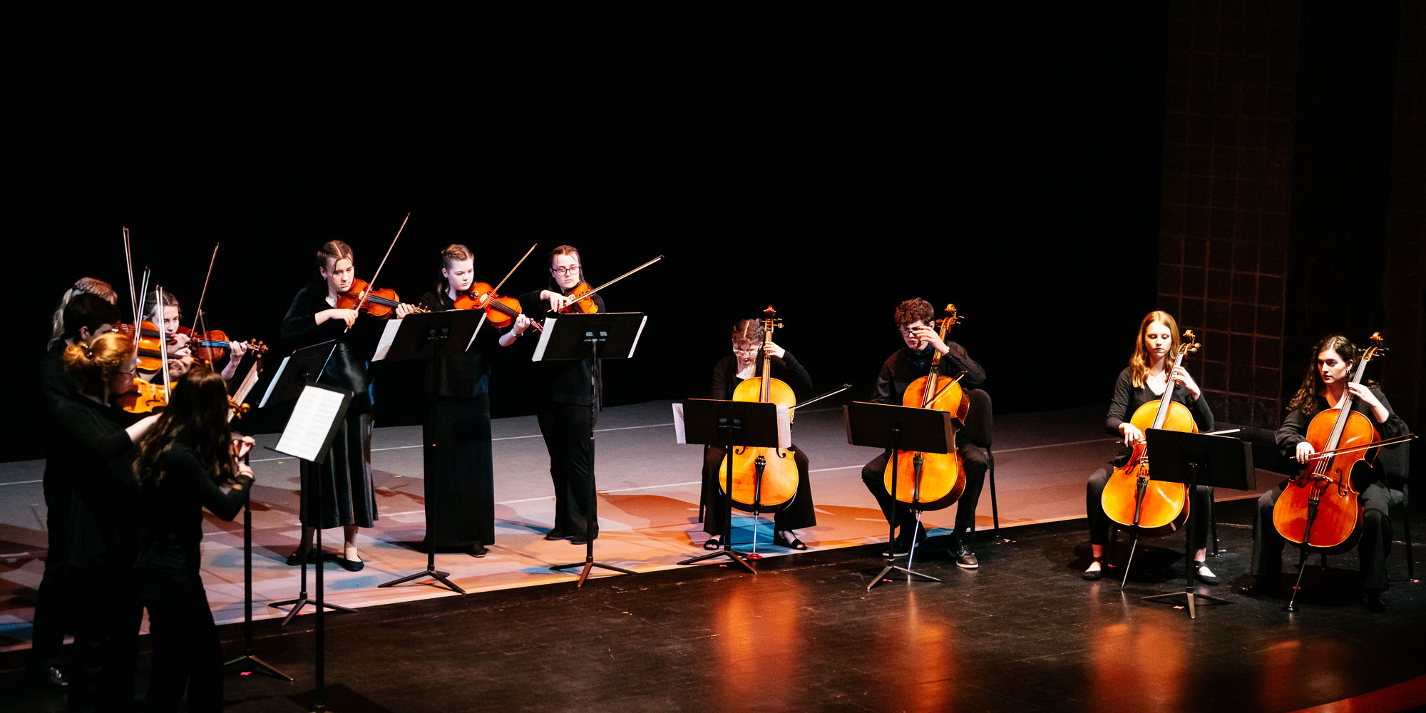 Strings Chamber Music at the Fine Arts Center
